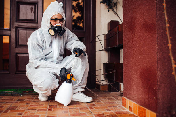 Attic and Crawl Space Rodent Treatment in Wright-Patterson AFB