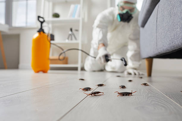 Commercial Rodent Management in Wright-Patterson AFB